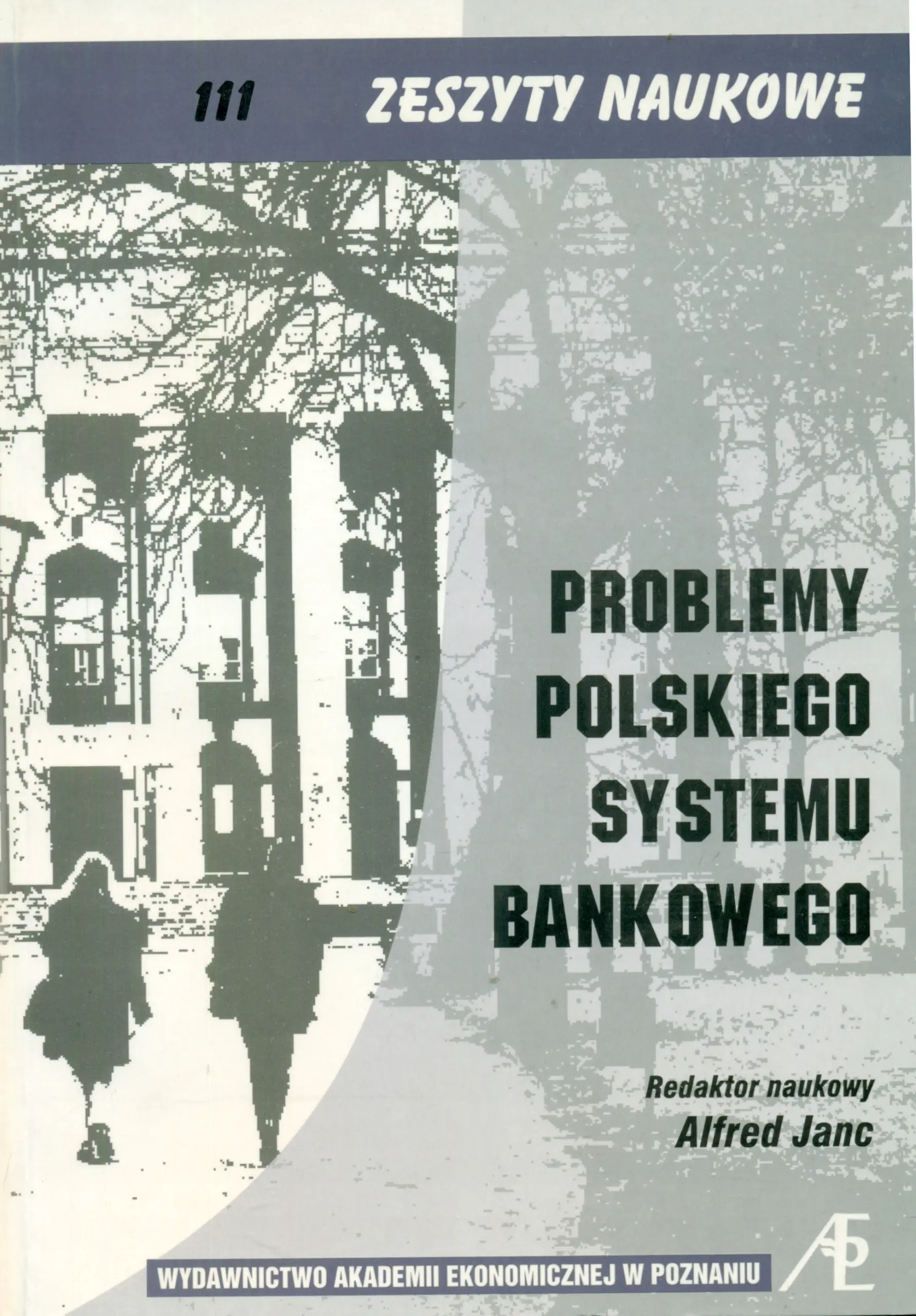 Książka - PROBLEMY POLSKIEGO SYSTEMU BANKOWEGO