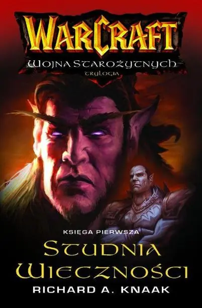 Książka - Studnia Wieczności
