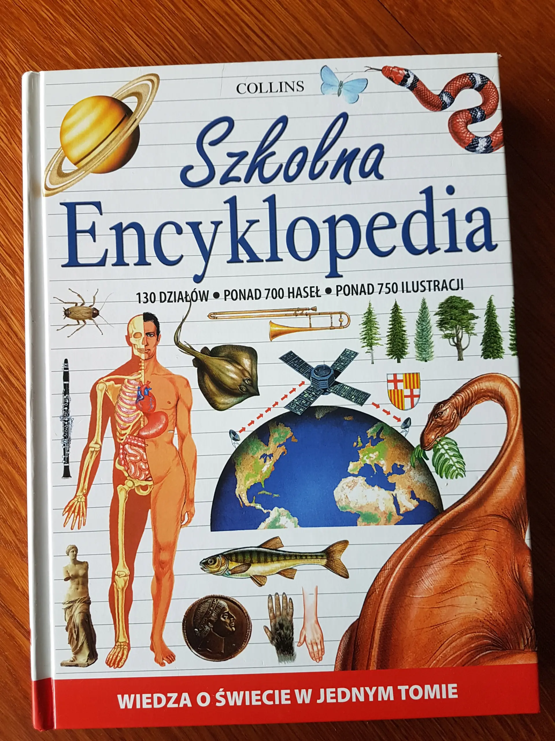 Książka - Szkolna encyklopedia