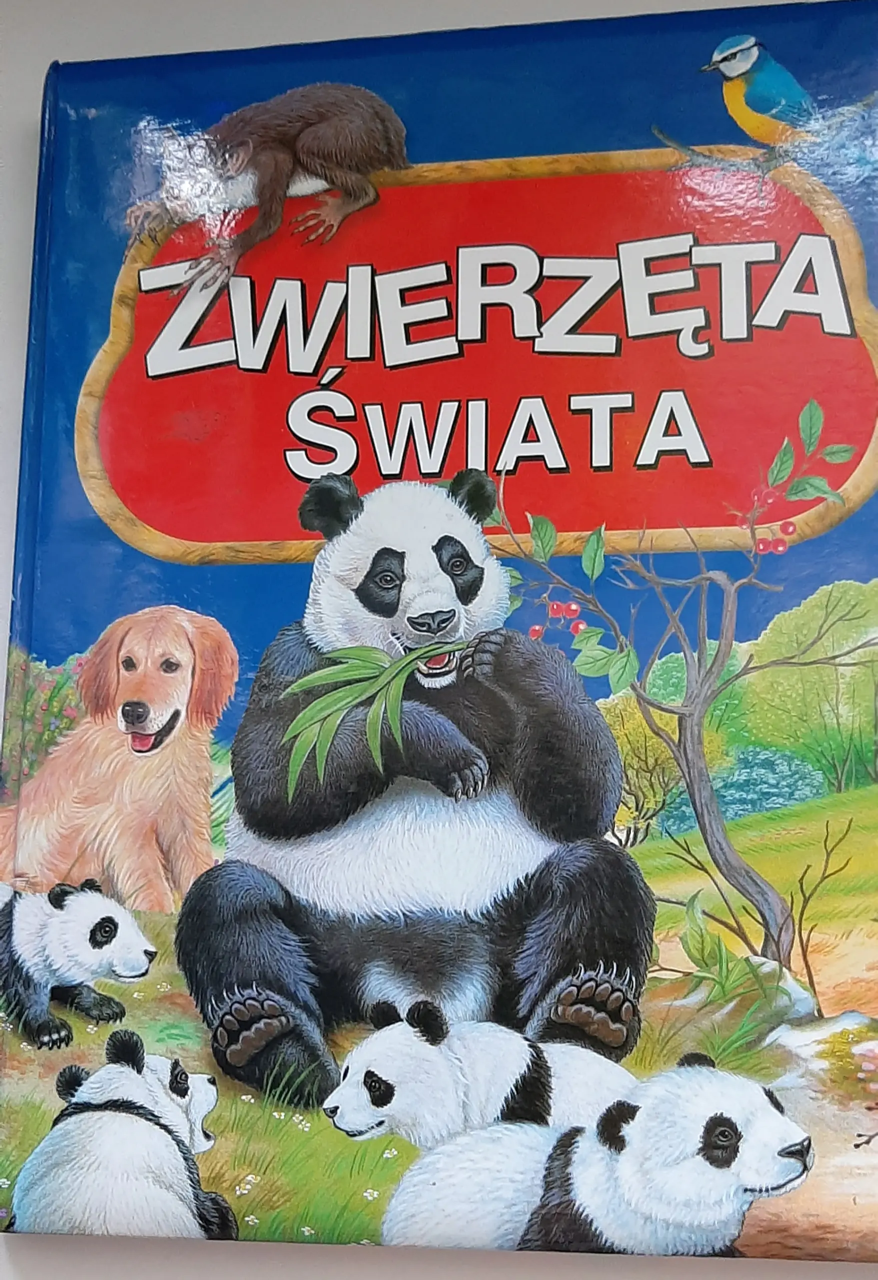 Książka - Zwierzęta świata TW