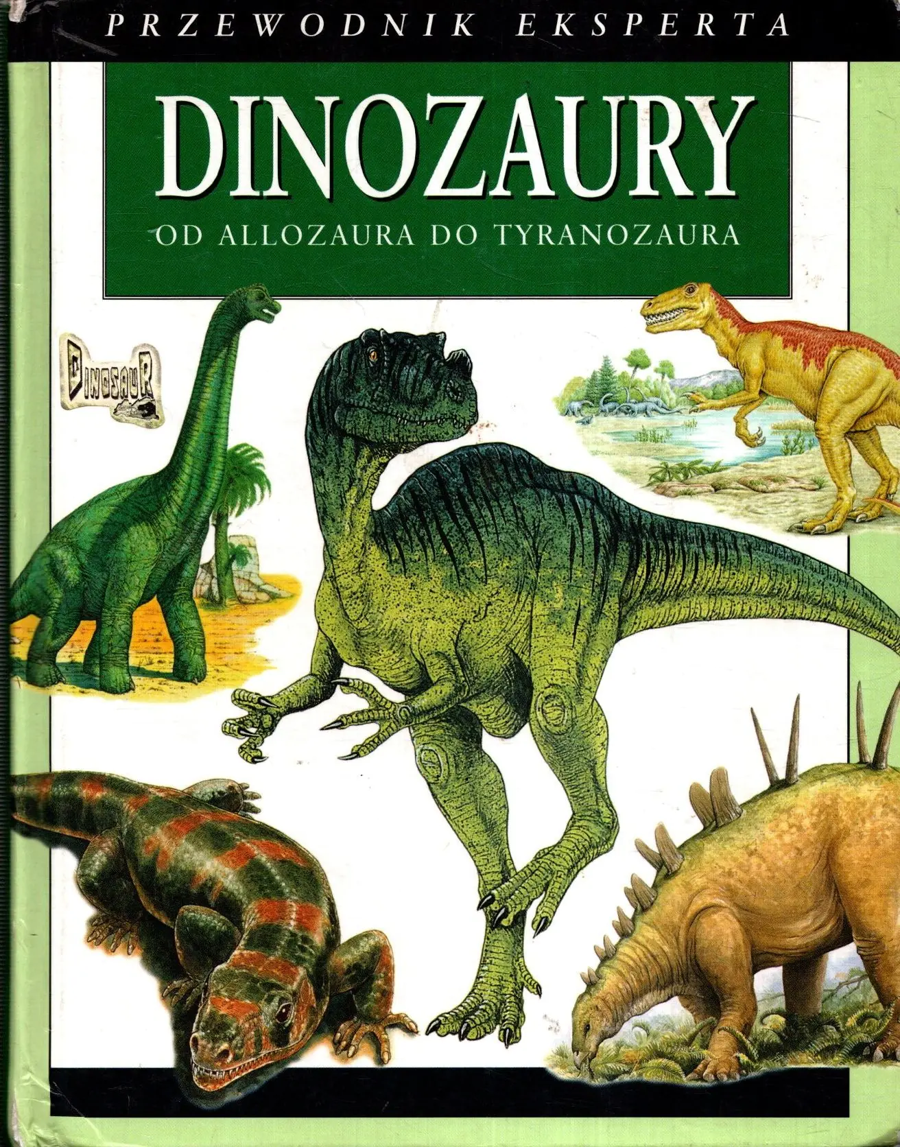 Książka - Dinozaury. Przewodnik eksperta