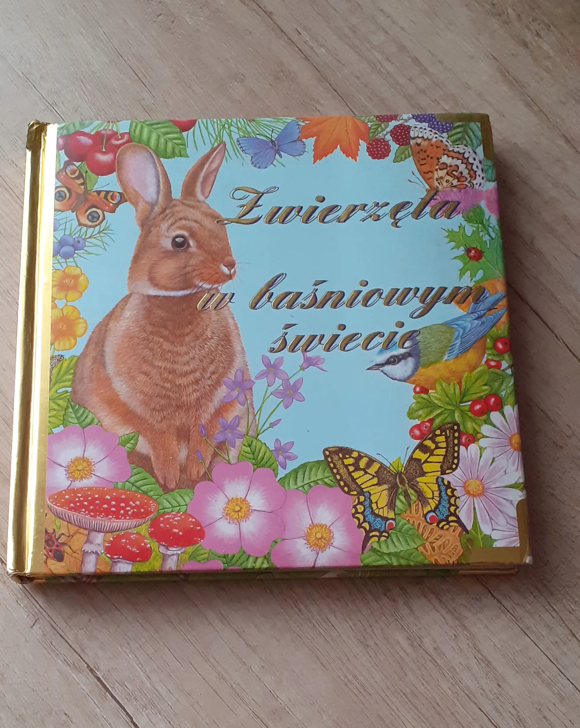 Książka - Zwierzęta w baśniowym świecie