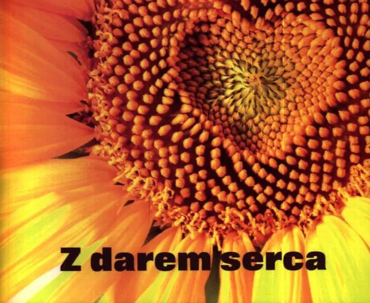 Książka - Z darem serca