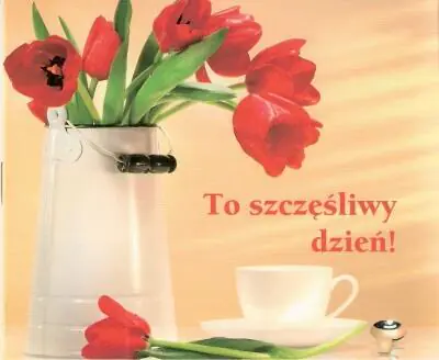Książka - To szczęśliwy dzień