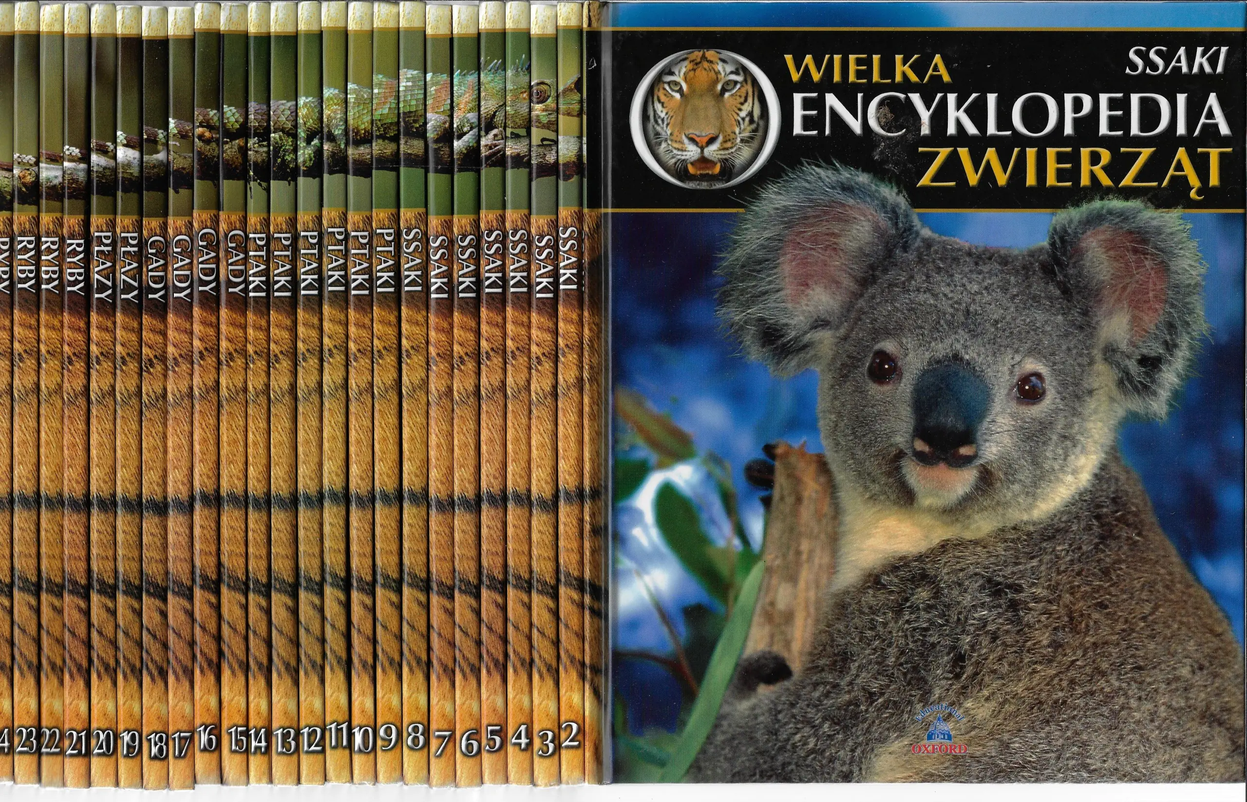 Książka - Wielka encyklopedia zwierząt. Ssaki. Tom 3