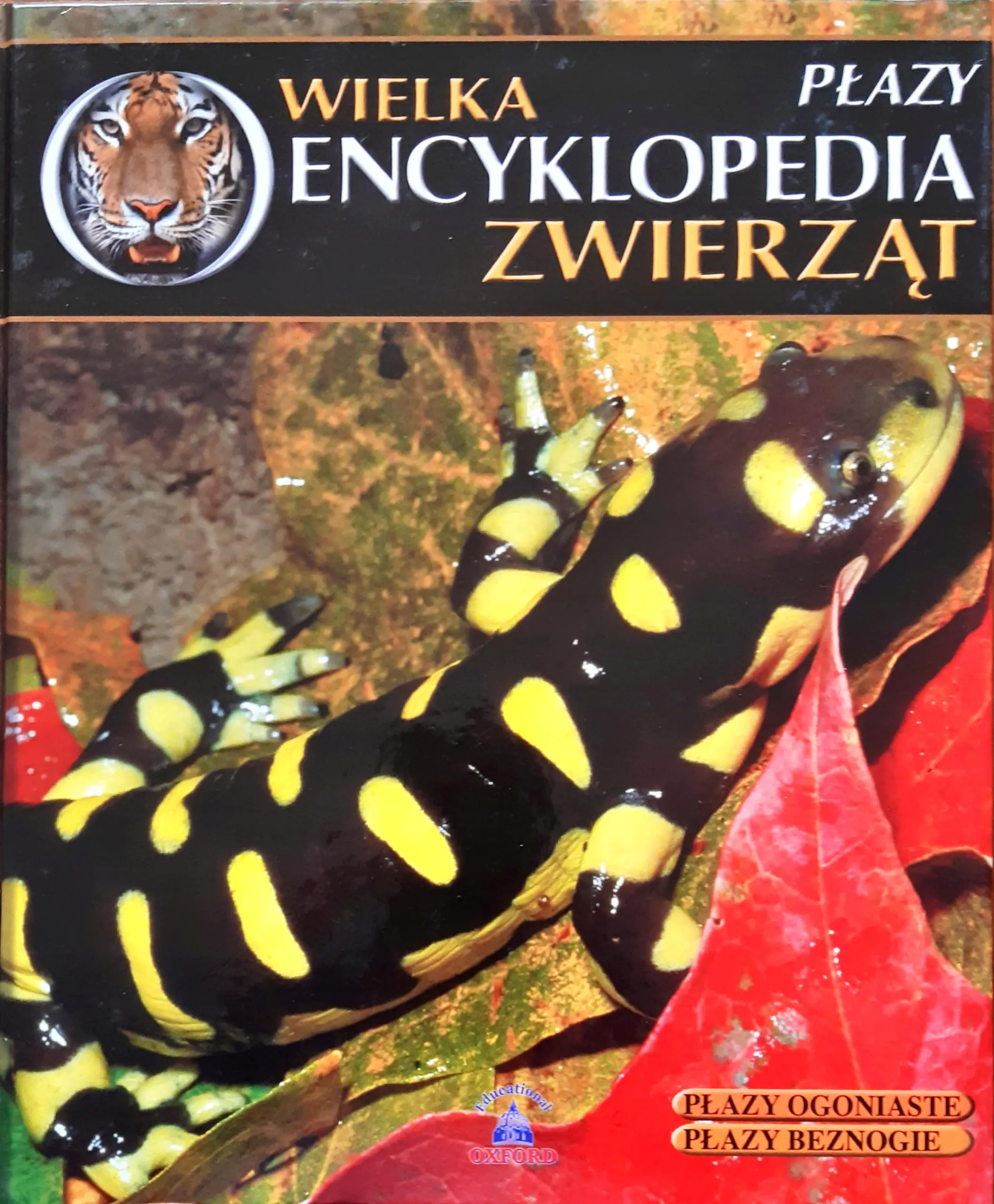 Książka - Wielka encyklopedia zwierząt Płazy nr 19