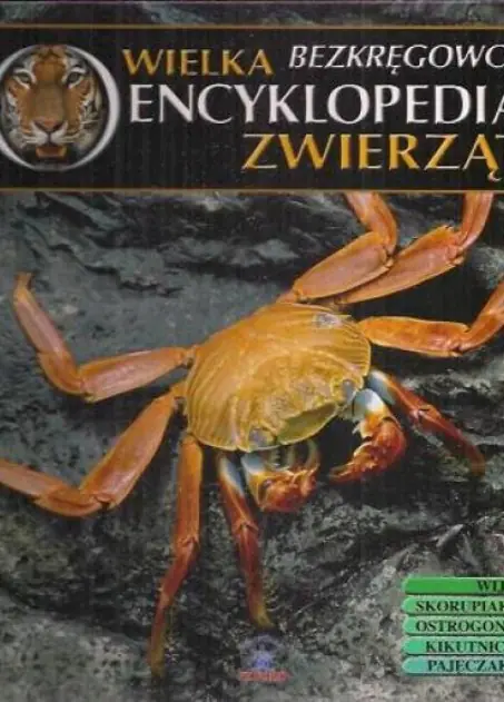Książka - Wielka encyklopedia zwierząt. Bezkręgowce. Tom 27 - Praca zbiorowa - 