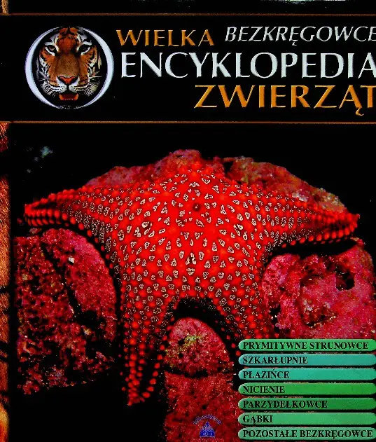 Książka - Wielka encyklopedia zwierząt Tom 29 Bbezkręgowce