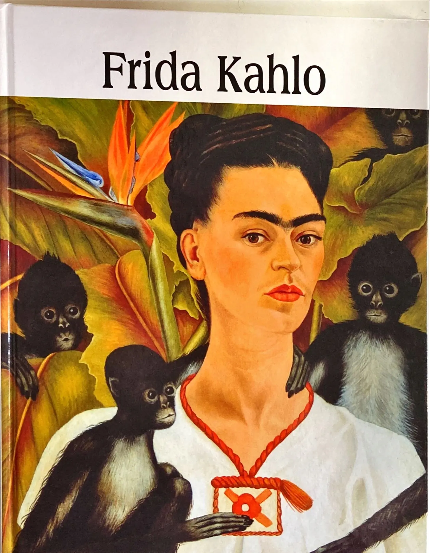 Książka - Wielka Kolekcja Sławnych Malarzy Tom 35 Frida Kahlo