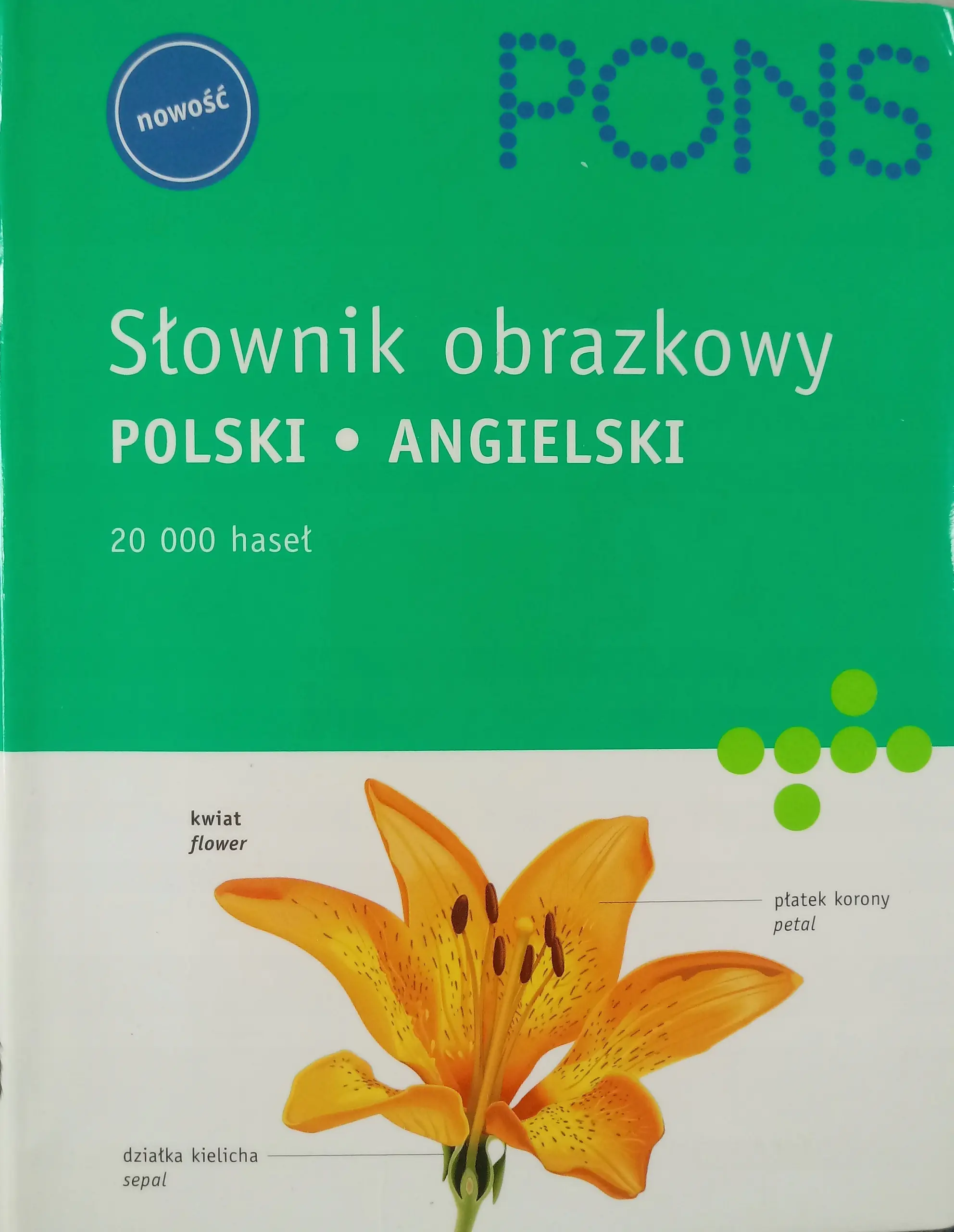 Książka - Słownik obrazkowy, polski - angielski