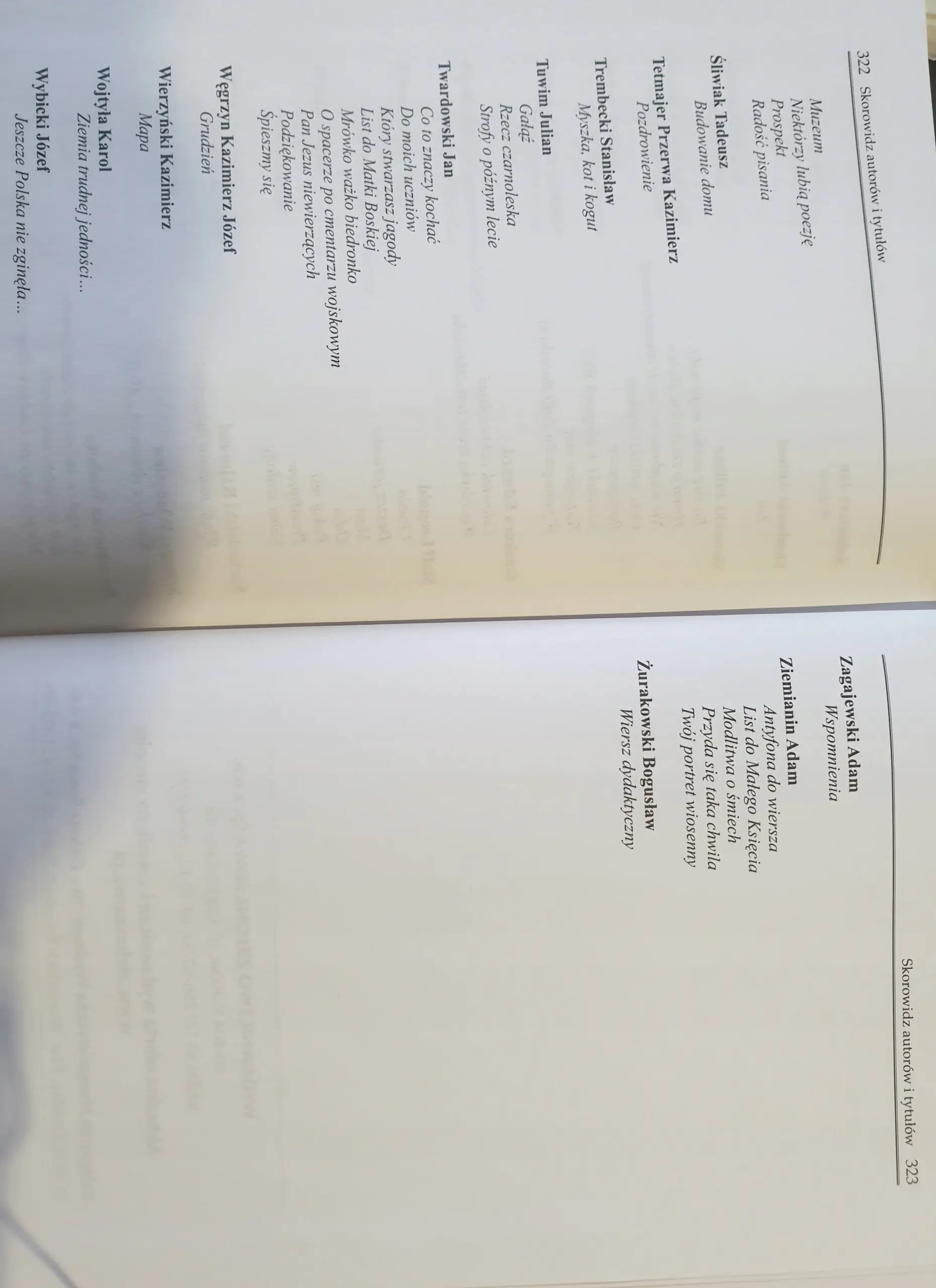 Książka - Słownik poezji. Szkoła podstawowa