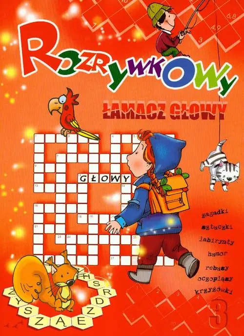 Książka - Rozrywkowy łamacz głowy 3