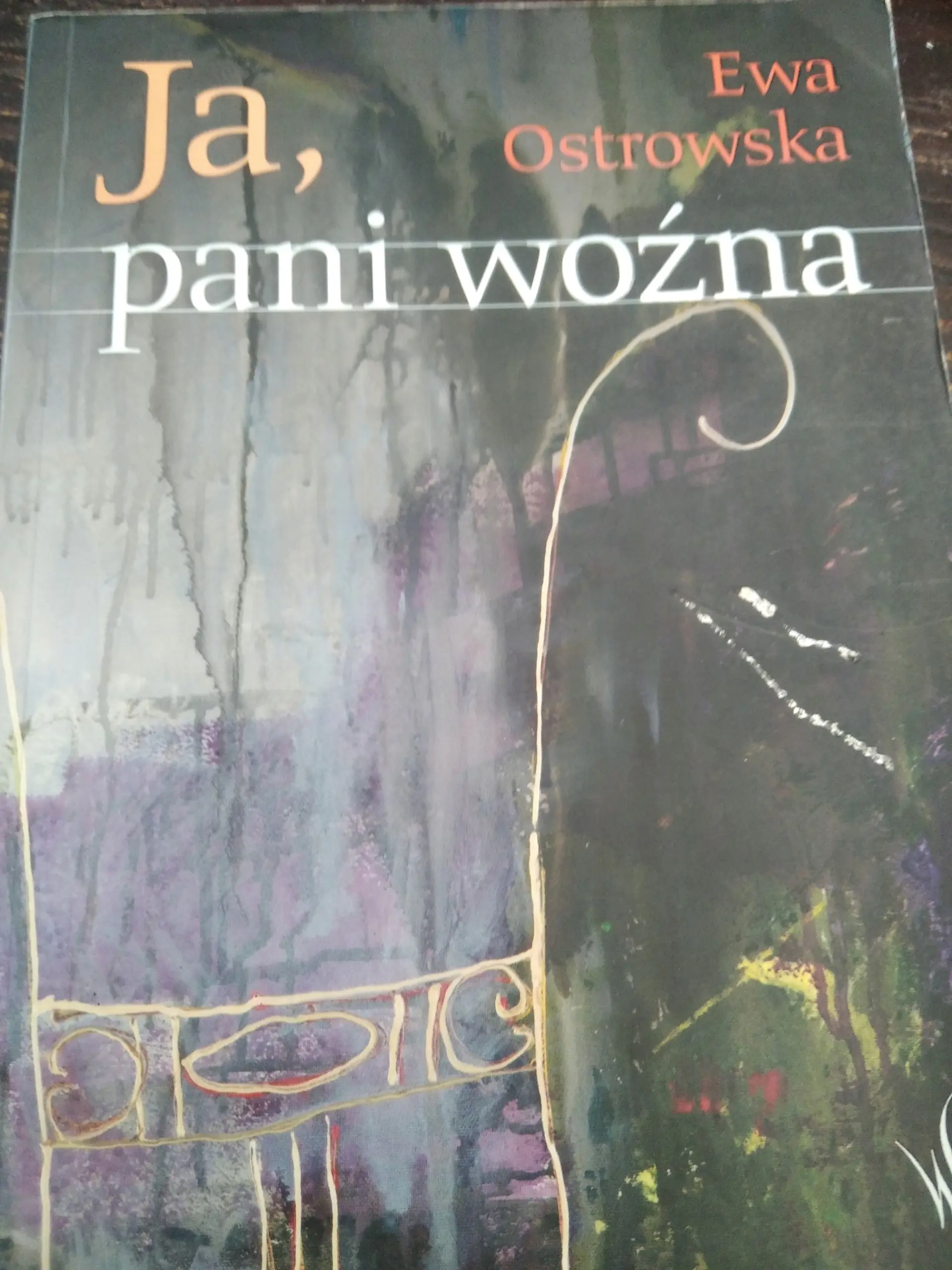 Książka - Ja pani woźna