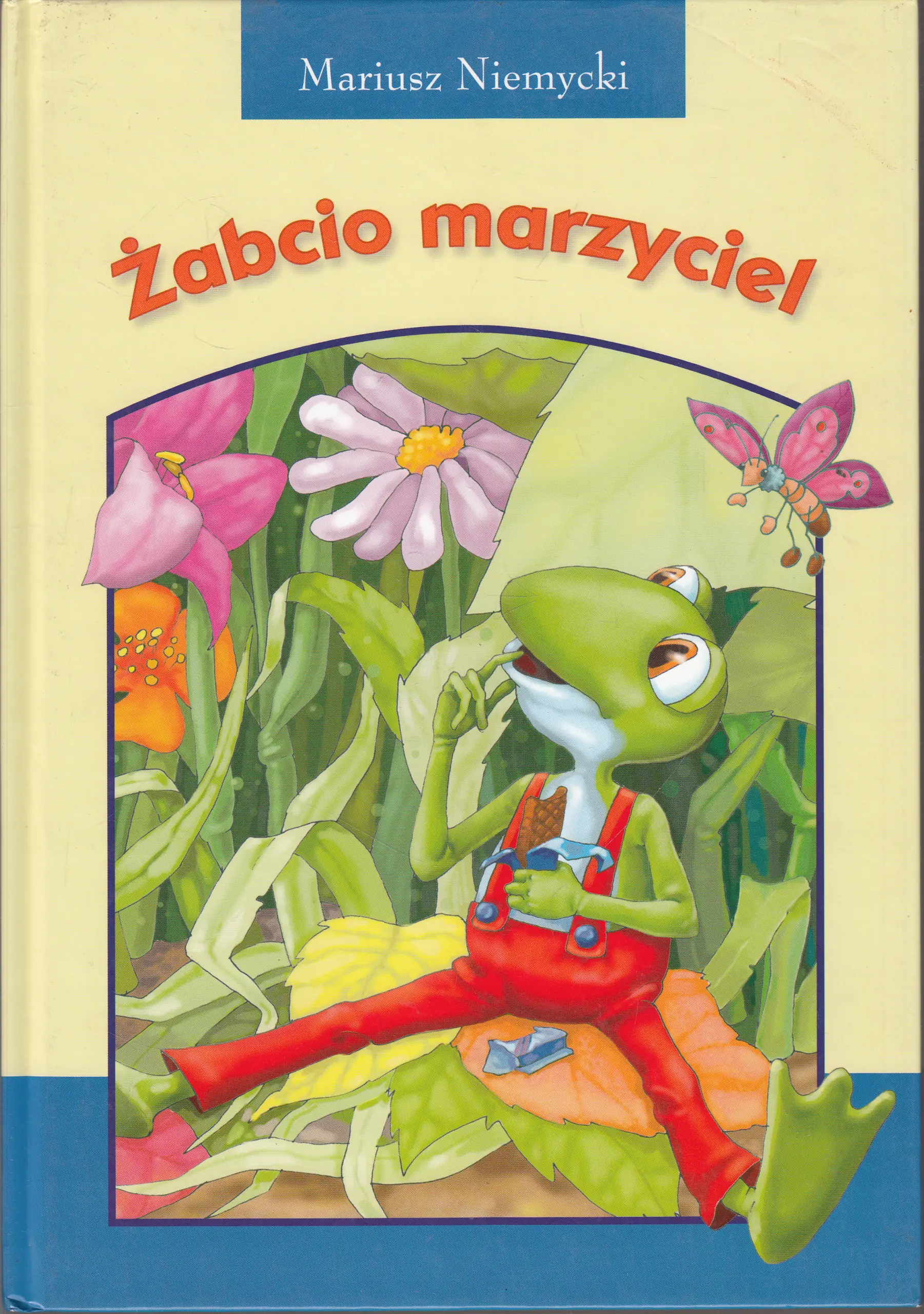 Książka - Żabcio marzyciel