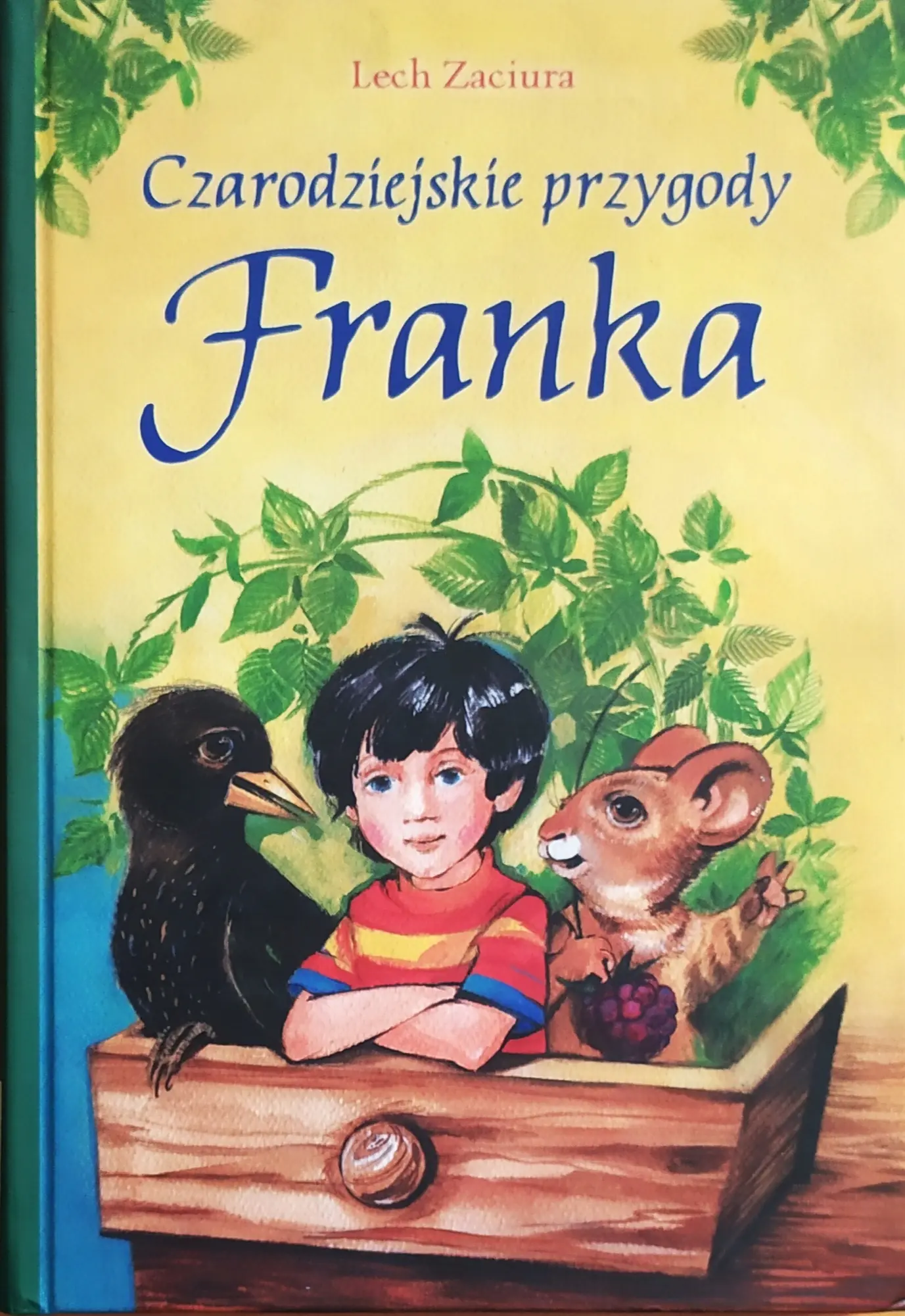 Książka - Czarodziejskie przygody Franka