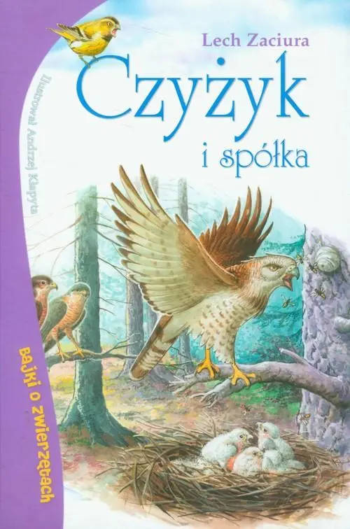 Książka - Czyżyk i spółka