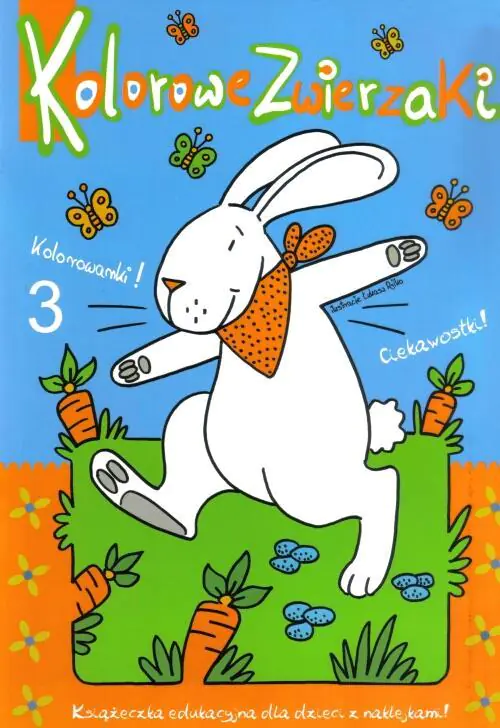 Książka - Kolorowe zwierzaki 3