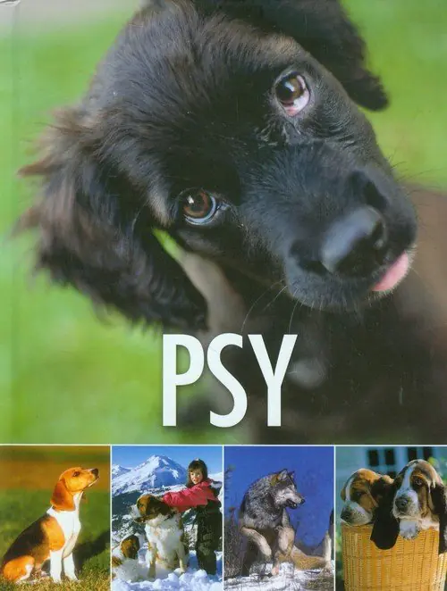 Książka - Psy