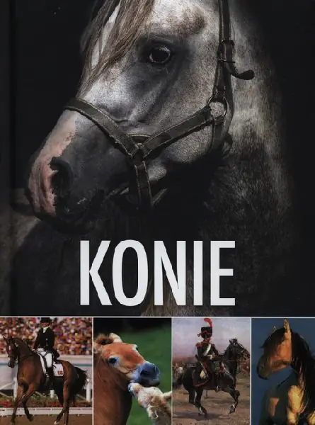 Książka - Konie
