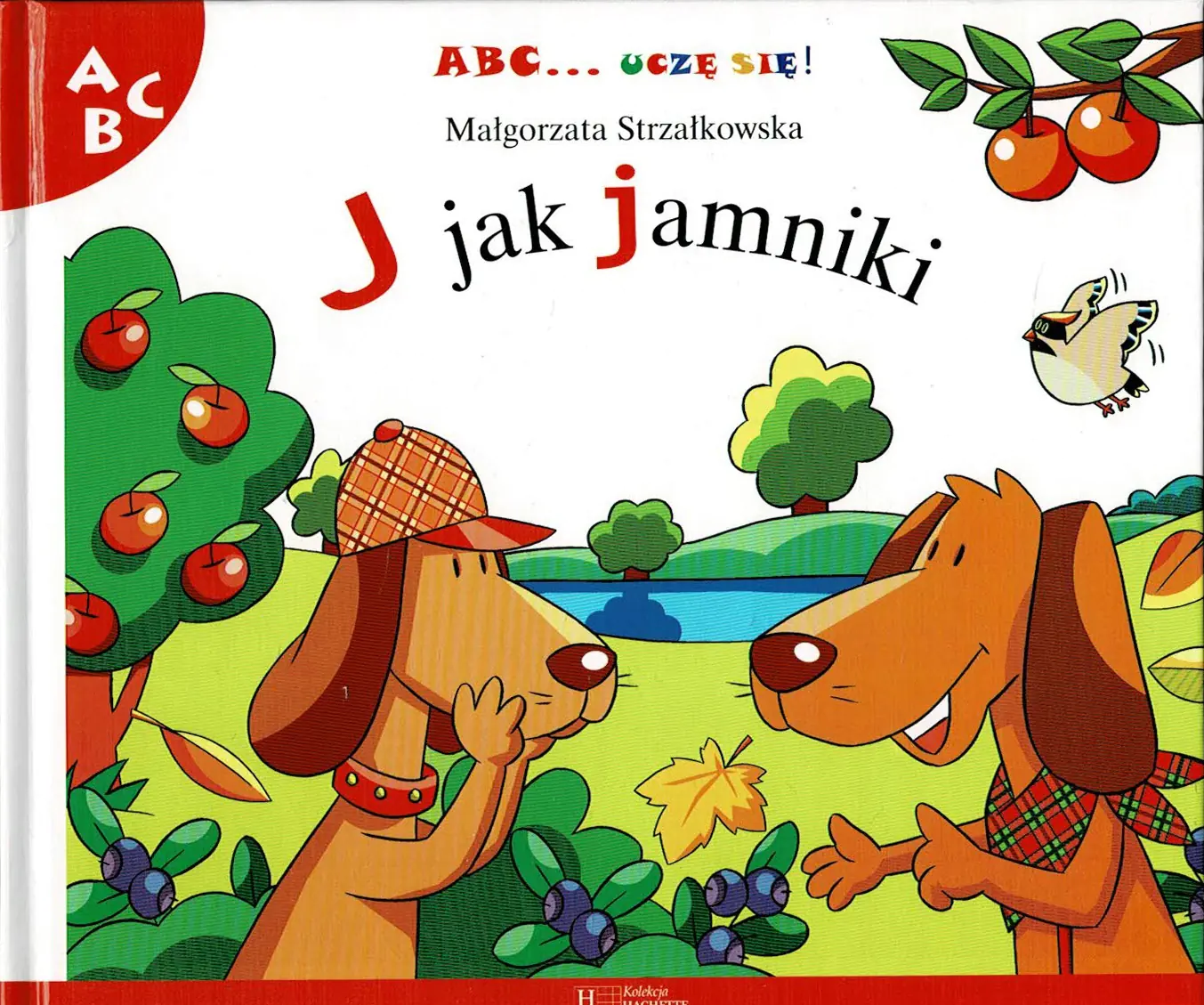 Książka - J jak jamniki
