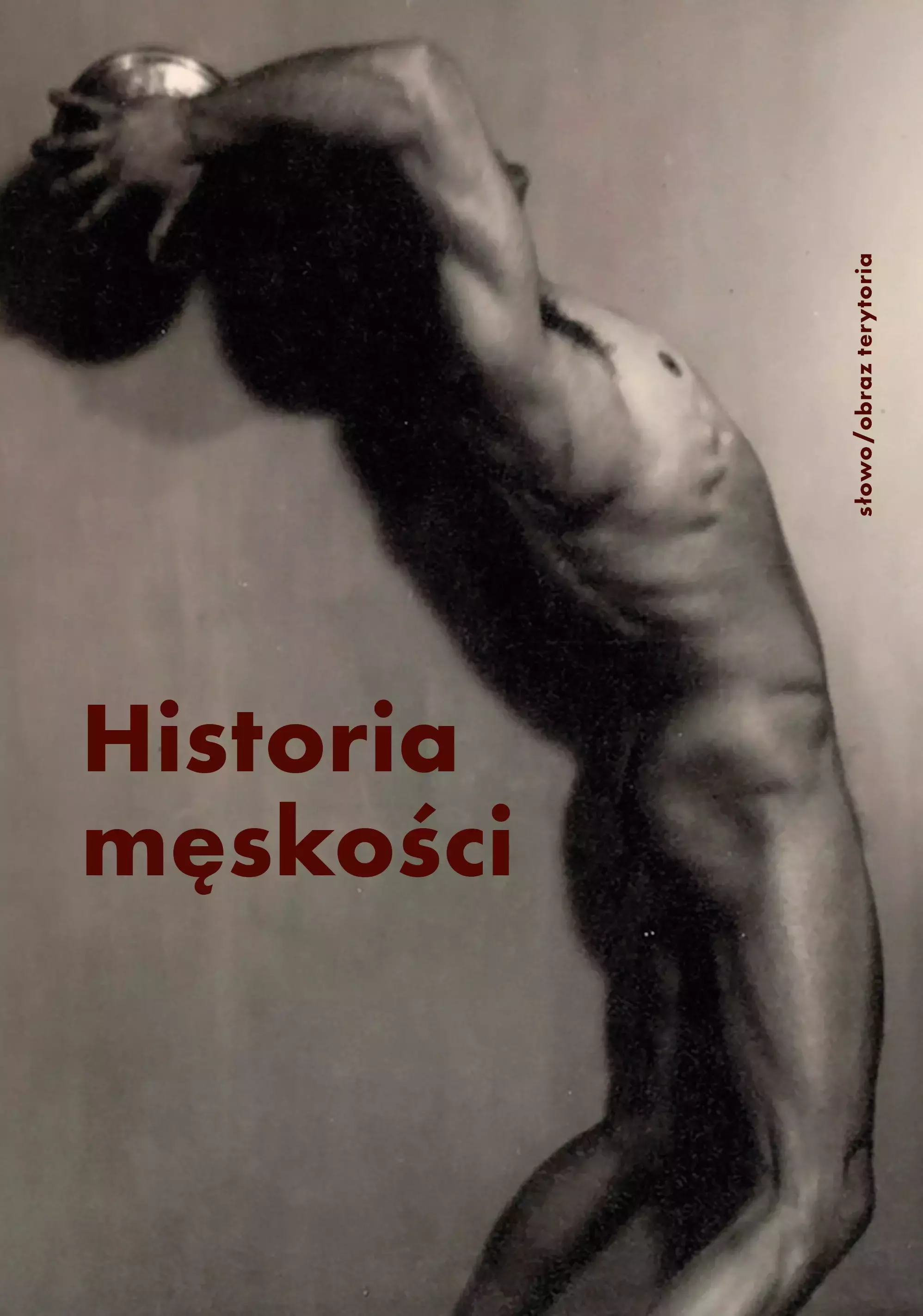 Książka - Historia męskości