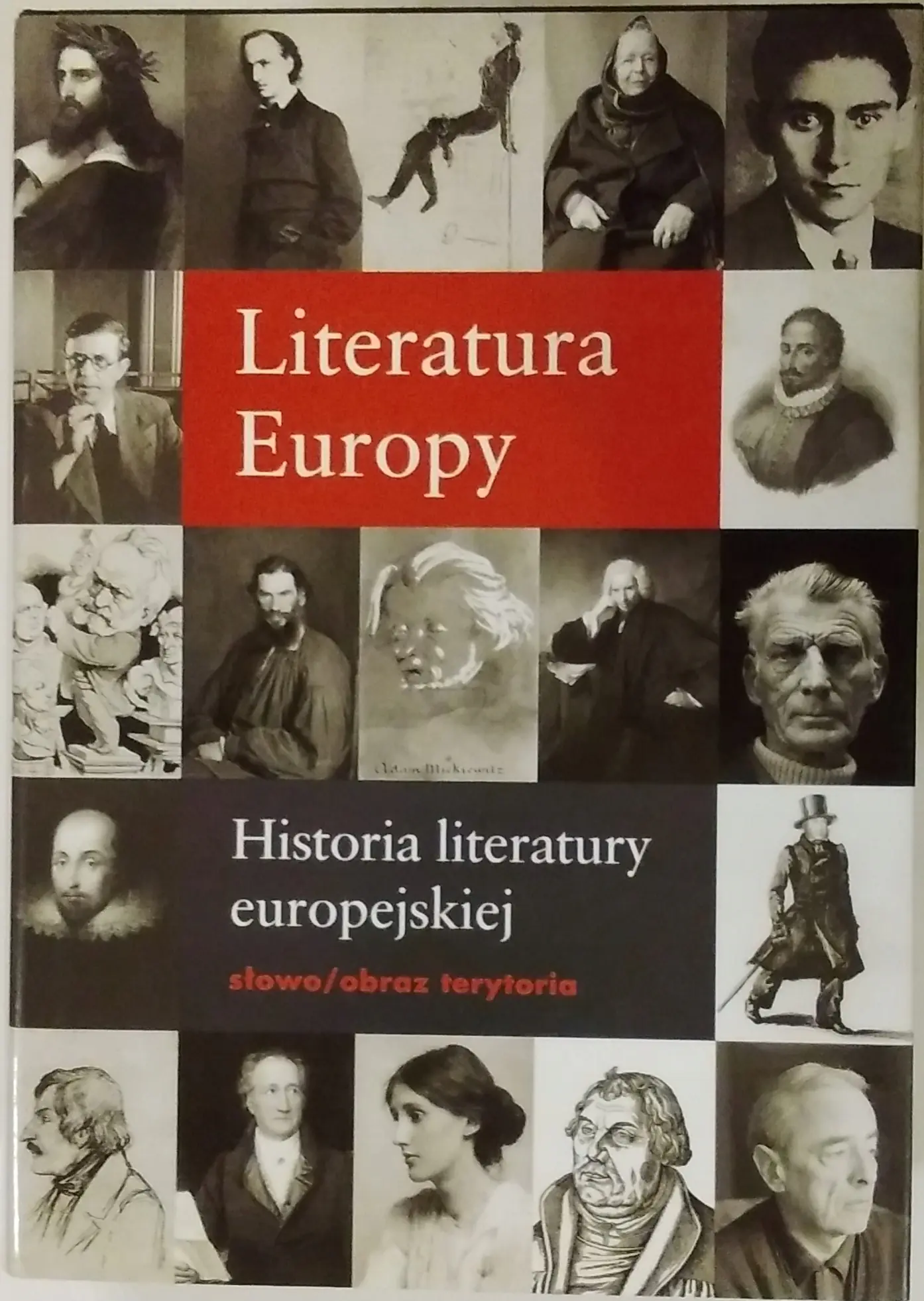 Książka - Literatura Europy