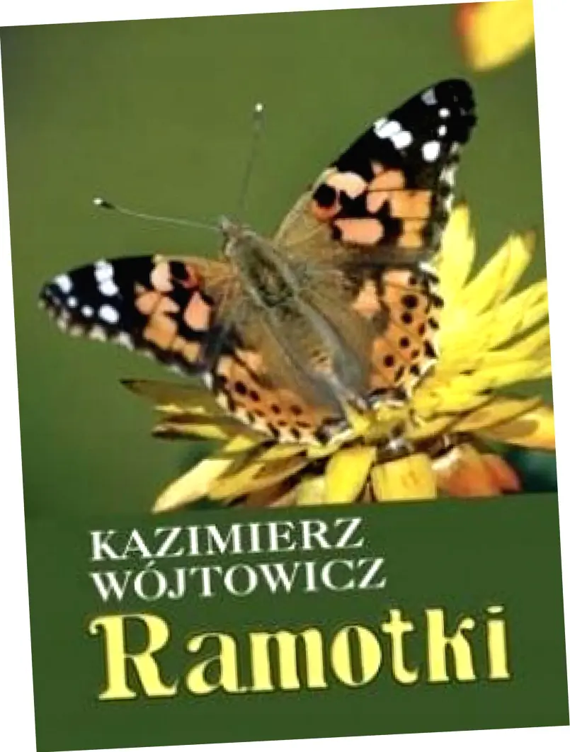 Książka - Ramotki