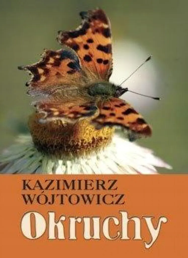 Książka - Okruchy