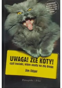 Książka - Uwaga Złe koty czyli kociaki które zeszły na złą drogę