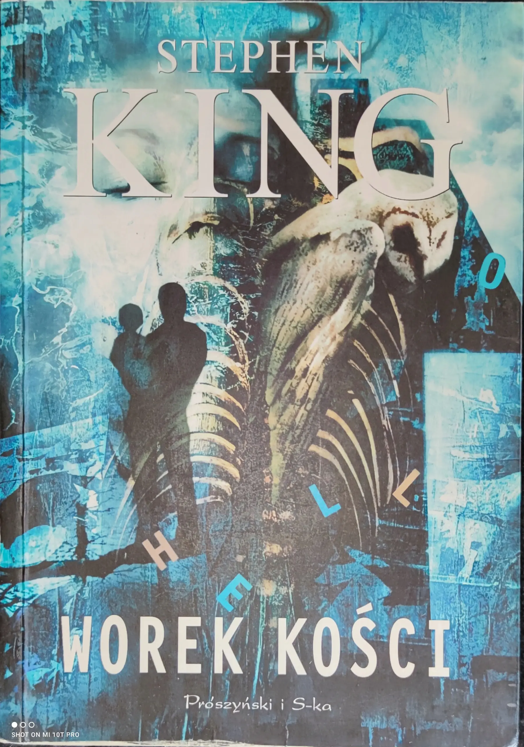 Książka - Worek kości
