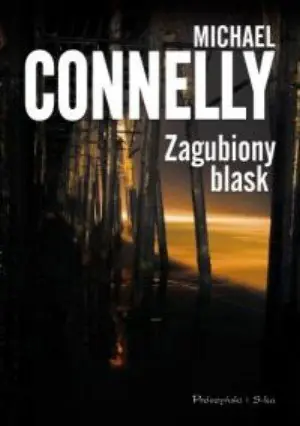 Książka - Zagubiony blask