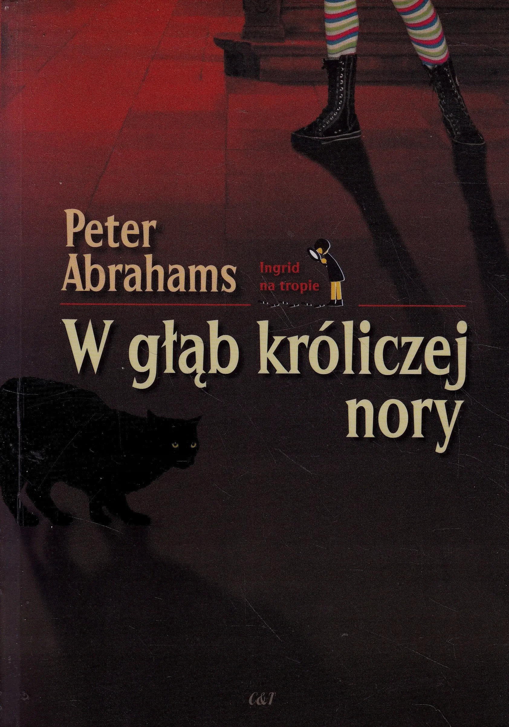 Książka - W głąb króliczej nory