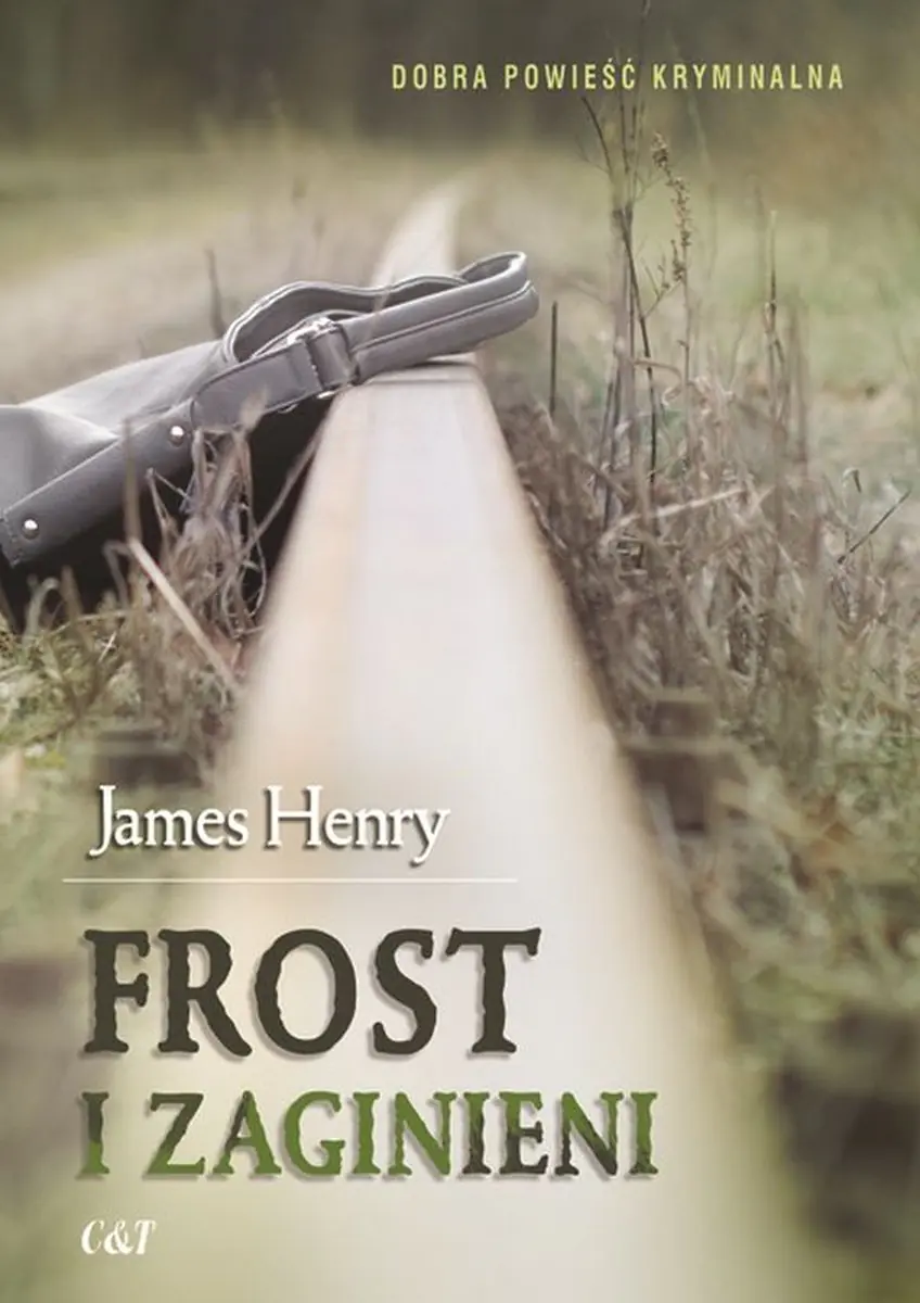 Książka - Frost i zaginieni