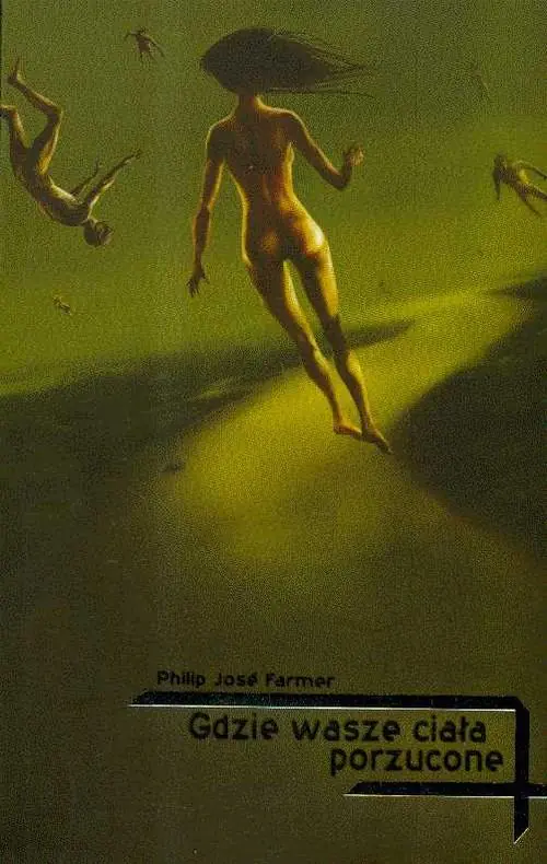 Książka - Gdzie wasze ciała porzucone
