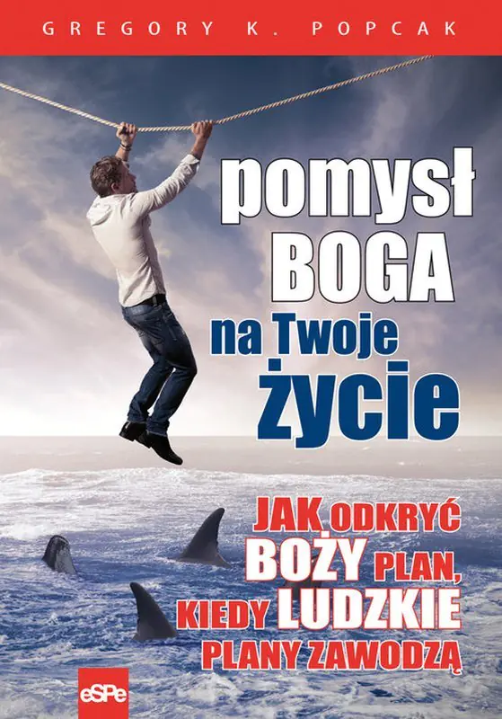 Książka - Pomysł Boga na twoje życie. Jak odkryć Boży plan, kiedy ludzkie plany zawodzą