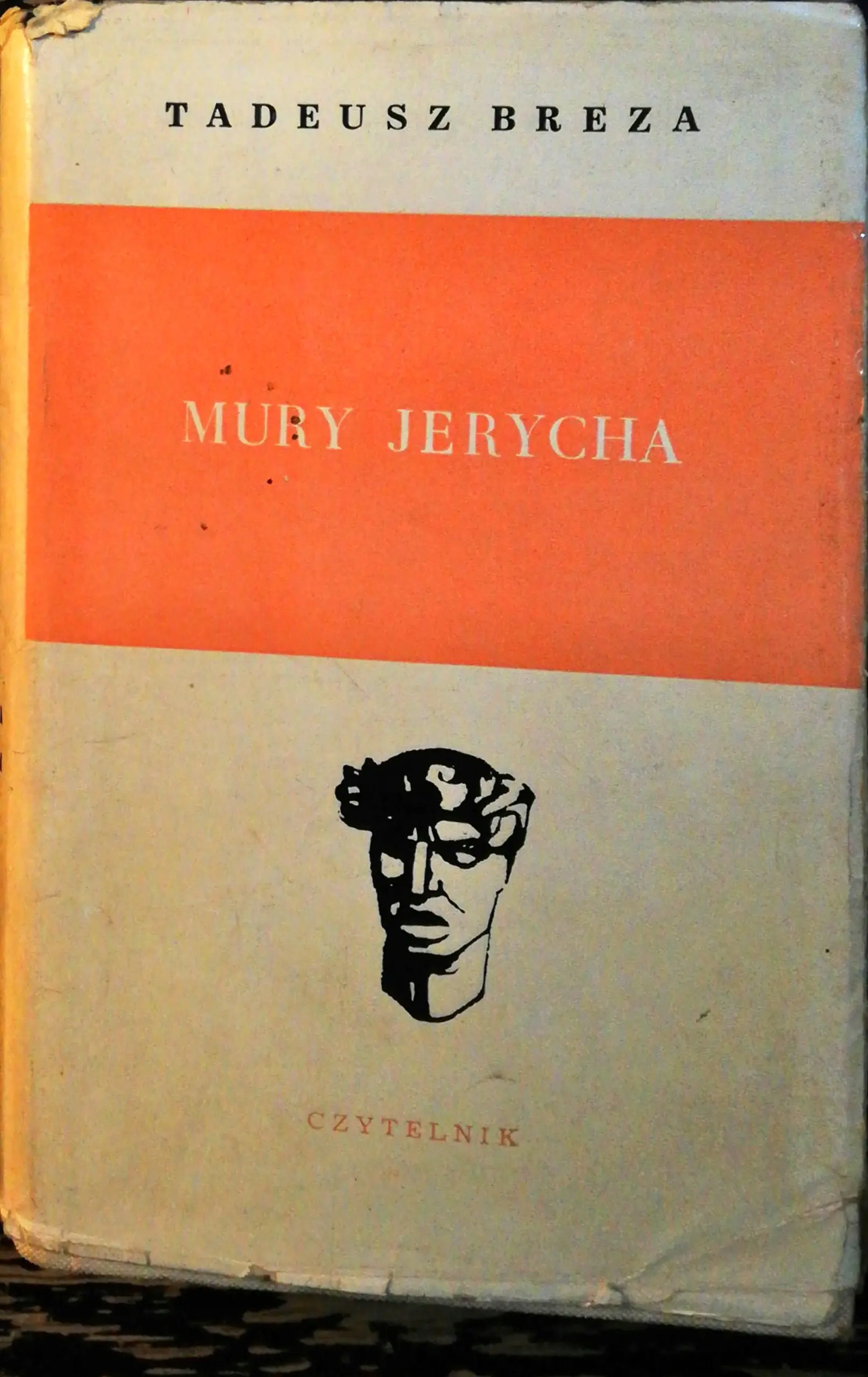 Książka - W pogoni za dalekim głosem