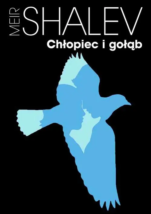 Książka - Chłopiec i gołąb