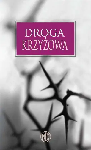 Książka - Droga Krzyżowa Rozważania