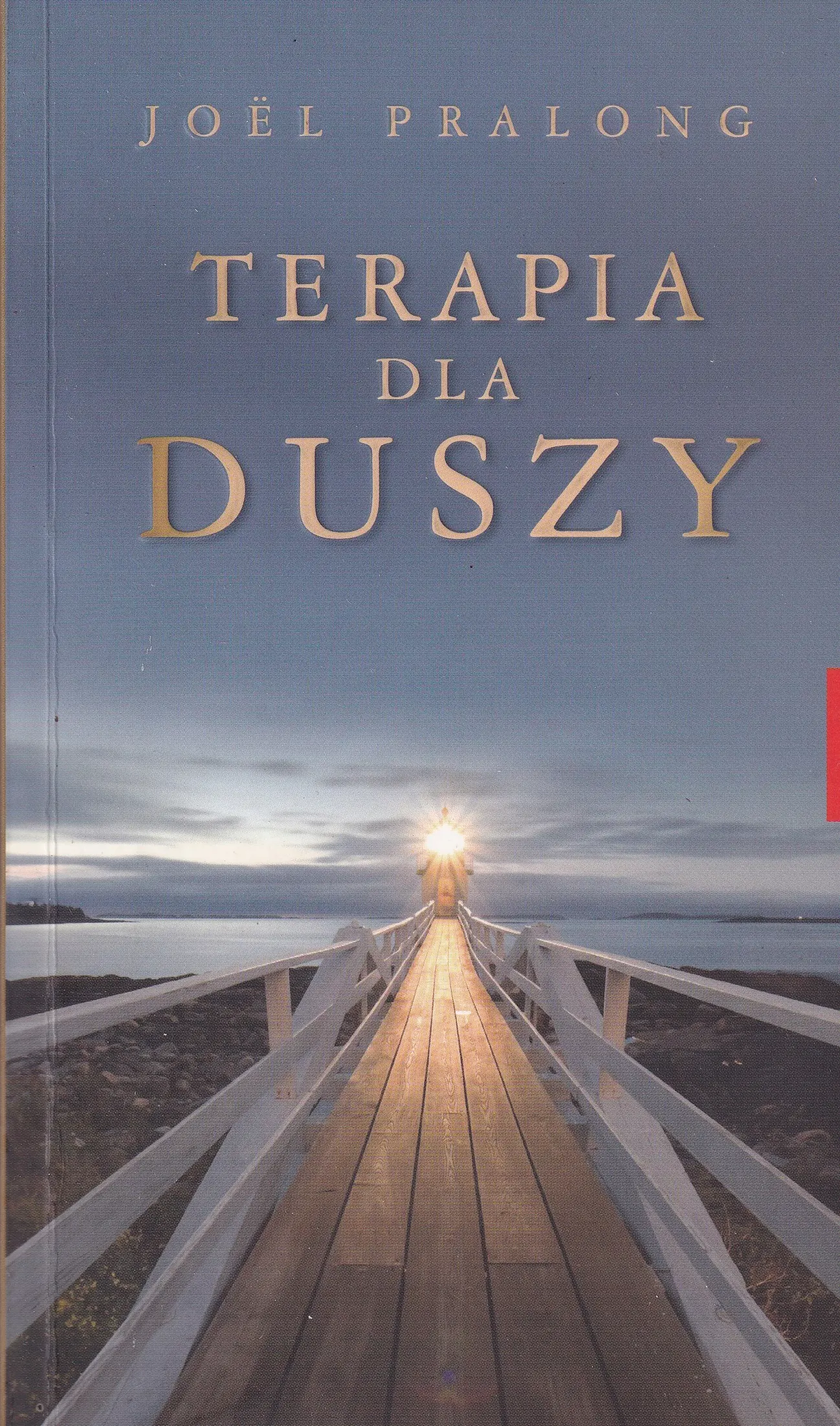 Książka - Terapia dla duszy