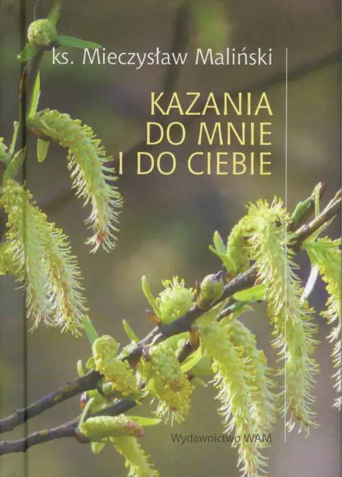 Książka - Kazania do mnie i do ciebie
