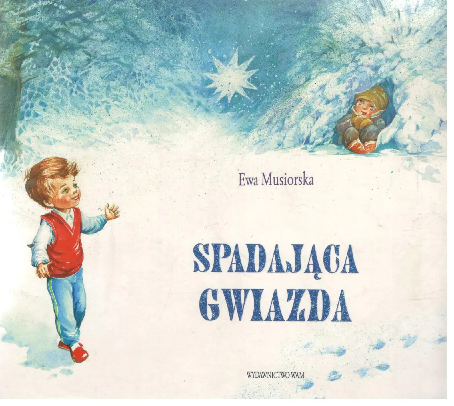 Książka - Spadająca gwiazda