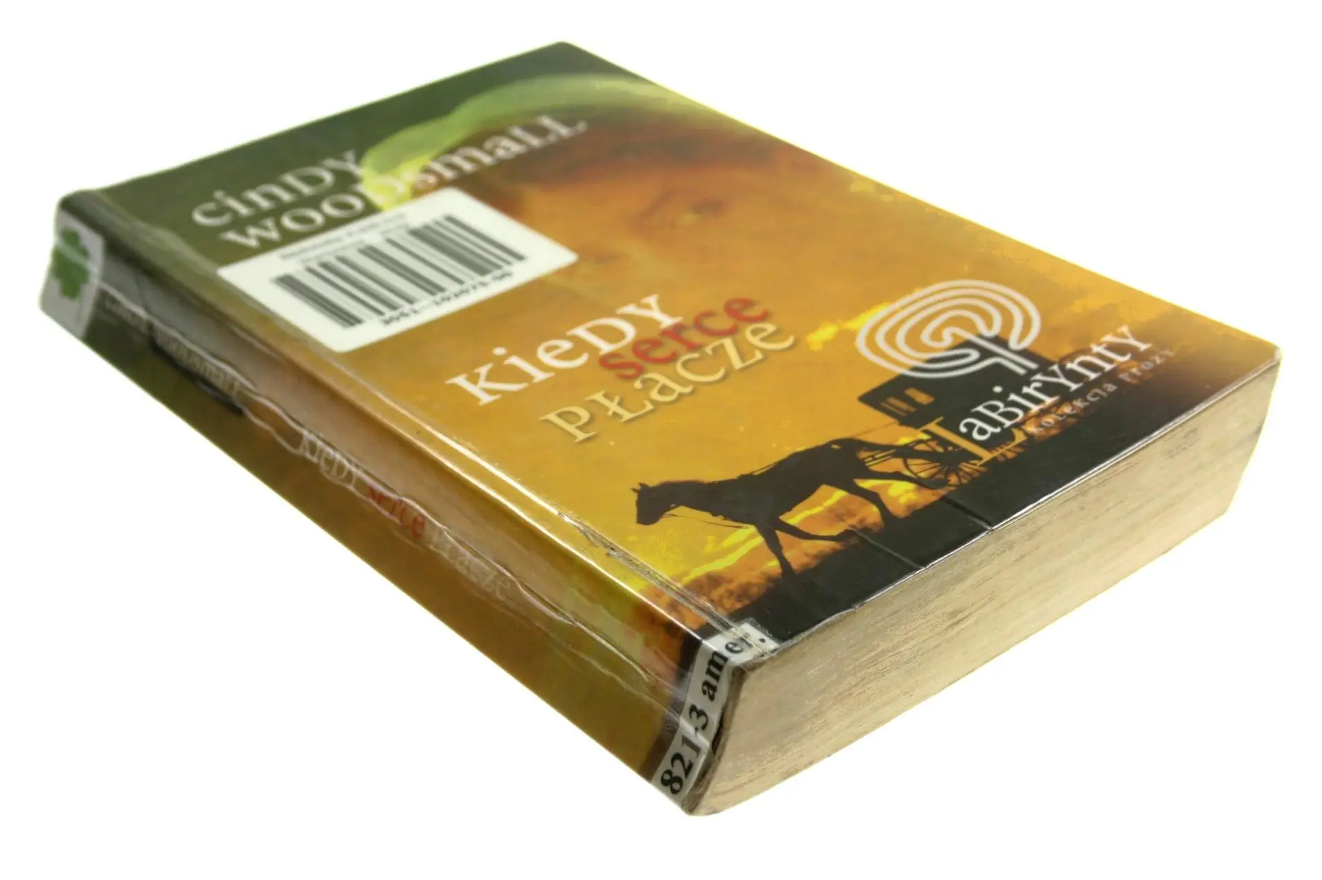 Książka - Labirynty. Kiedy serce płacze