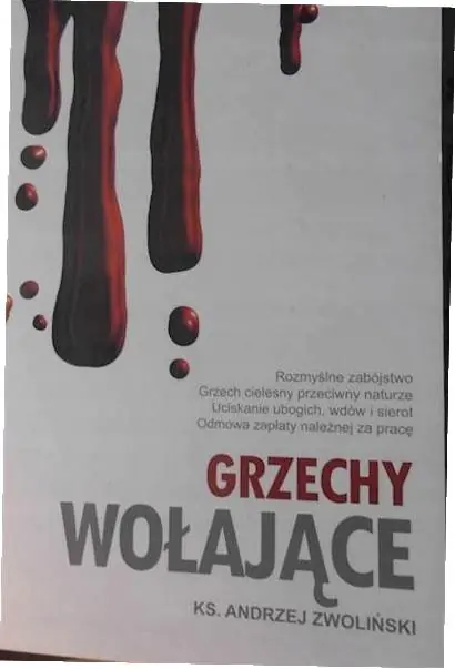 Książka - Grzechy wołające