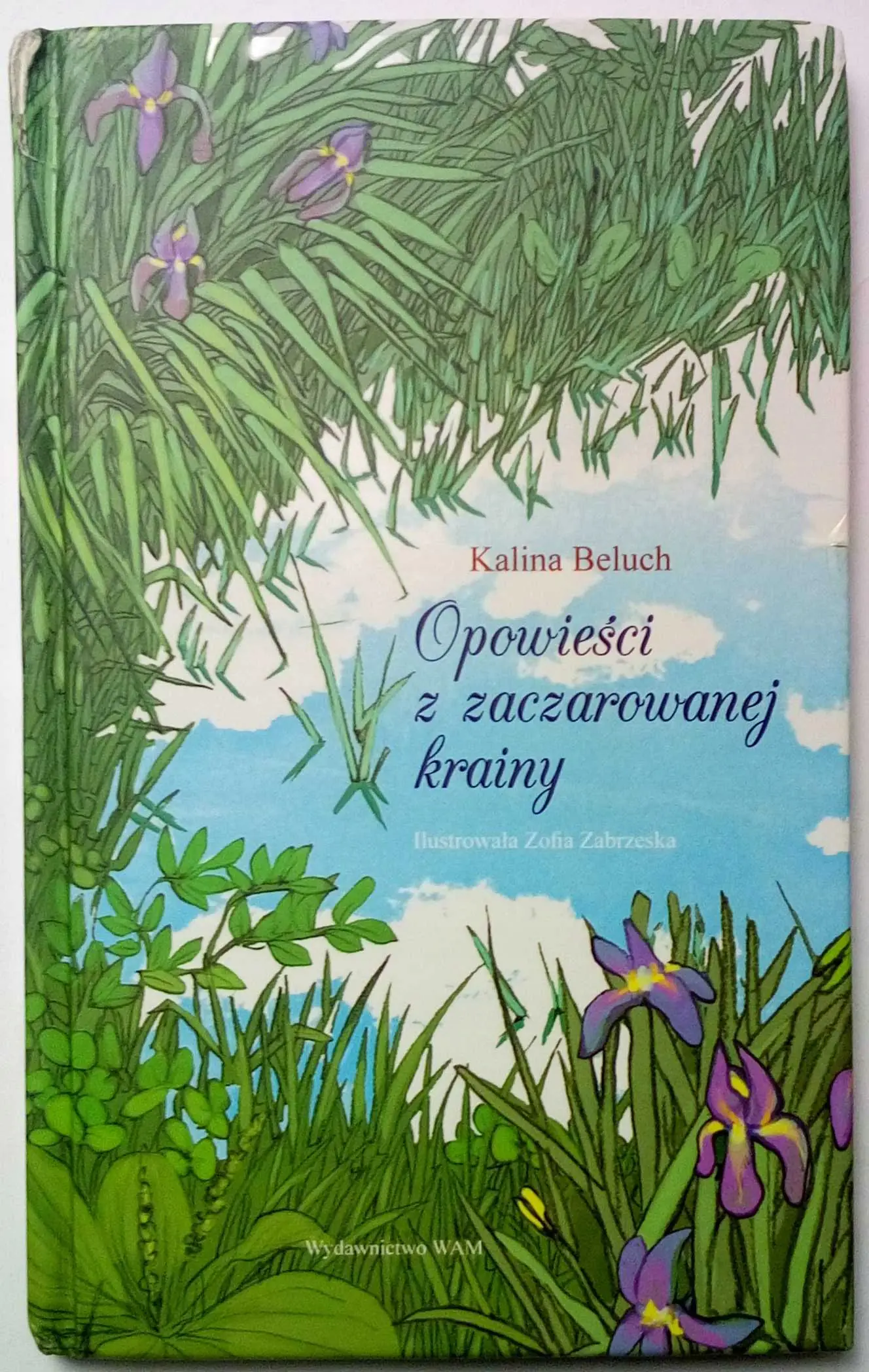 Książka - Opowieści z zaczarowanej krainy