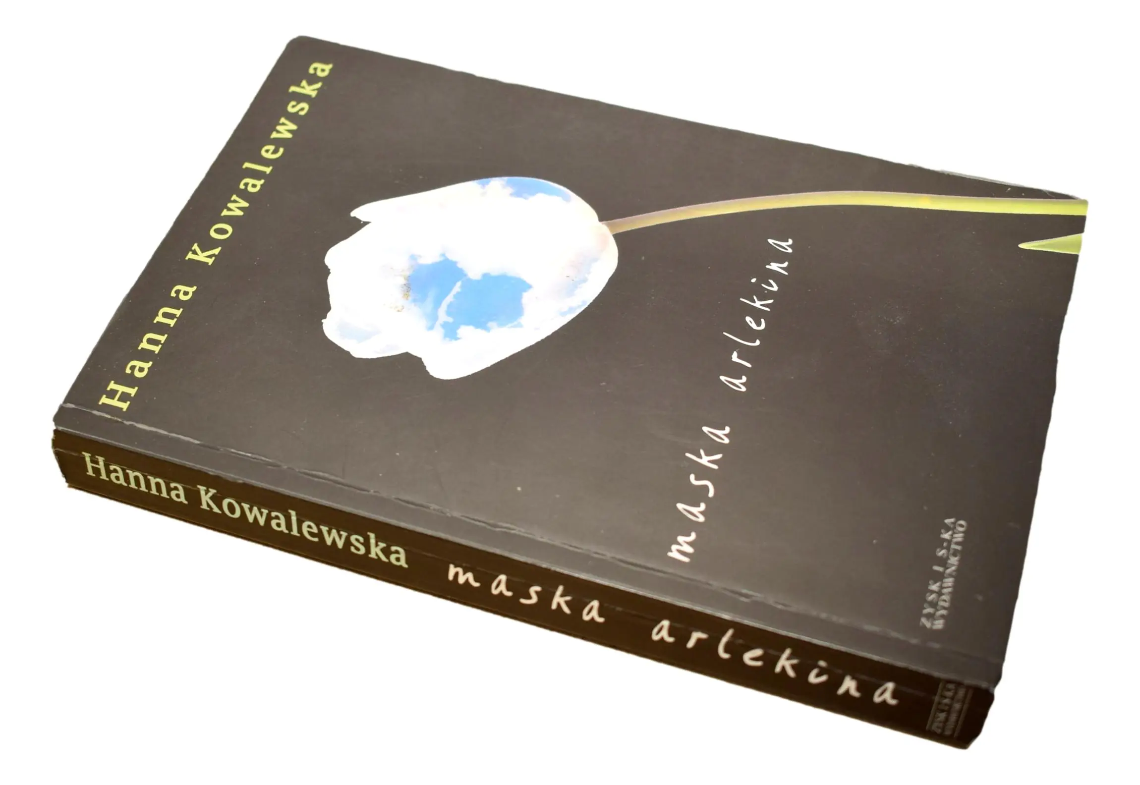 Książka - Maska Arlekina 