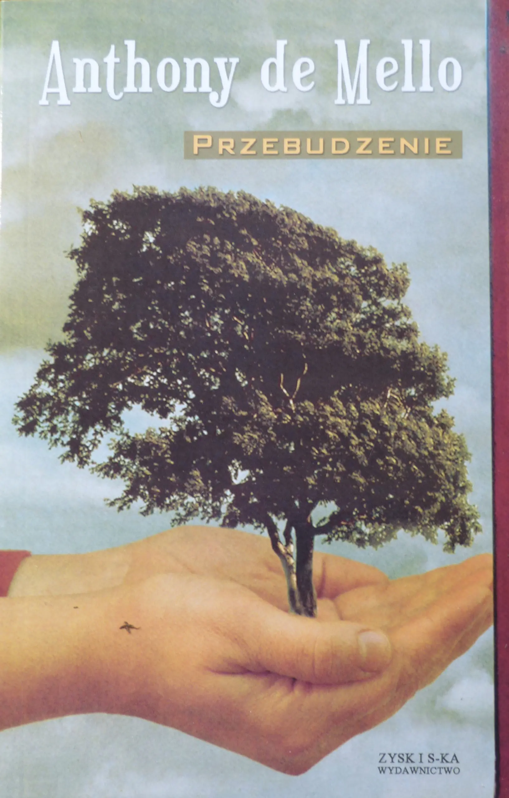 Książka - Przebudzenie