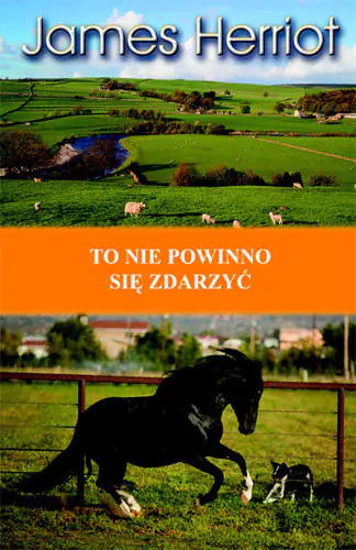 Książka - To nie powinno się zdarzyć