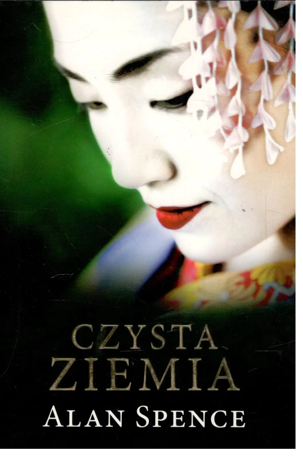 Książka - Czysta ziemia