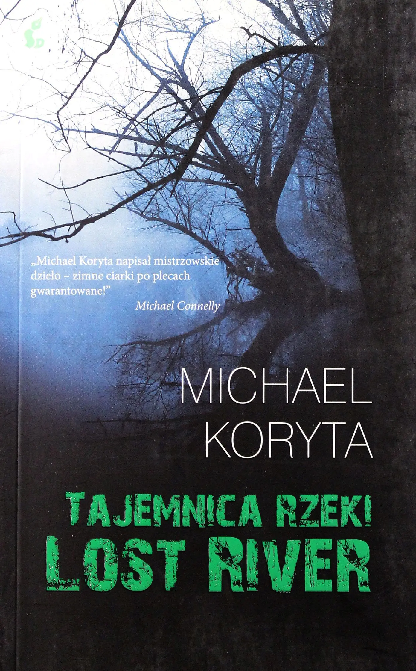 Książka - Tajemnica rzeki Lost River