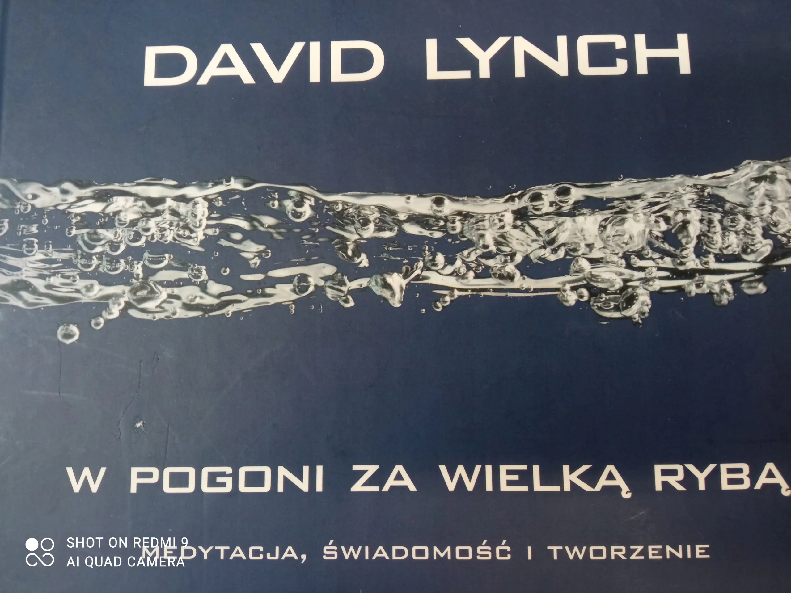 Książka - W pogoni za wielką rybą